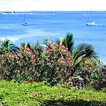 Bluff House Beach Resort & Marina