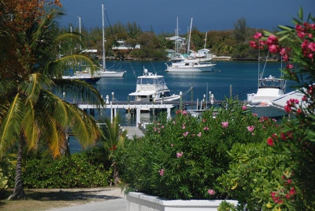 Resort Bluff House & Marina 3*