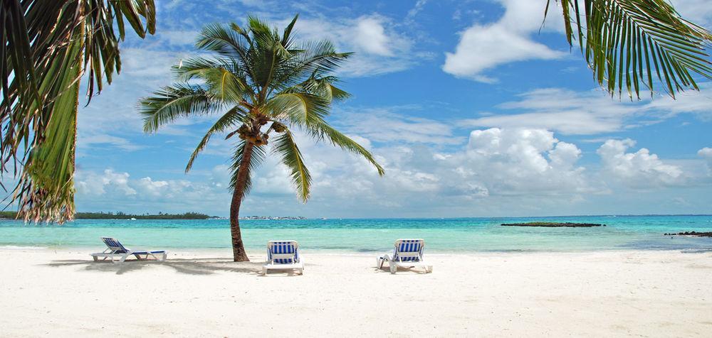 Resort Bluff House & Marina Green Turtle Cay