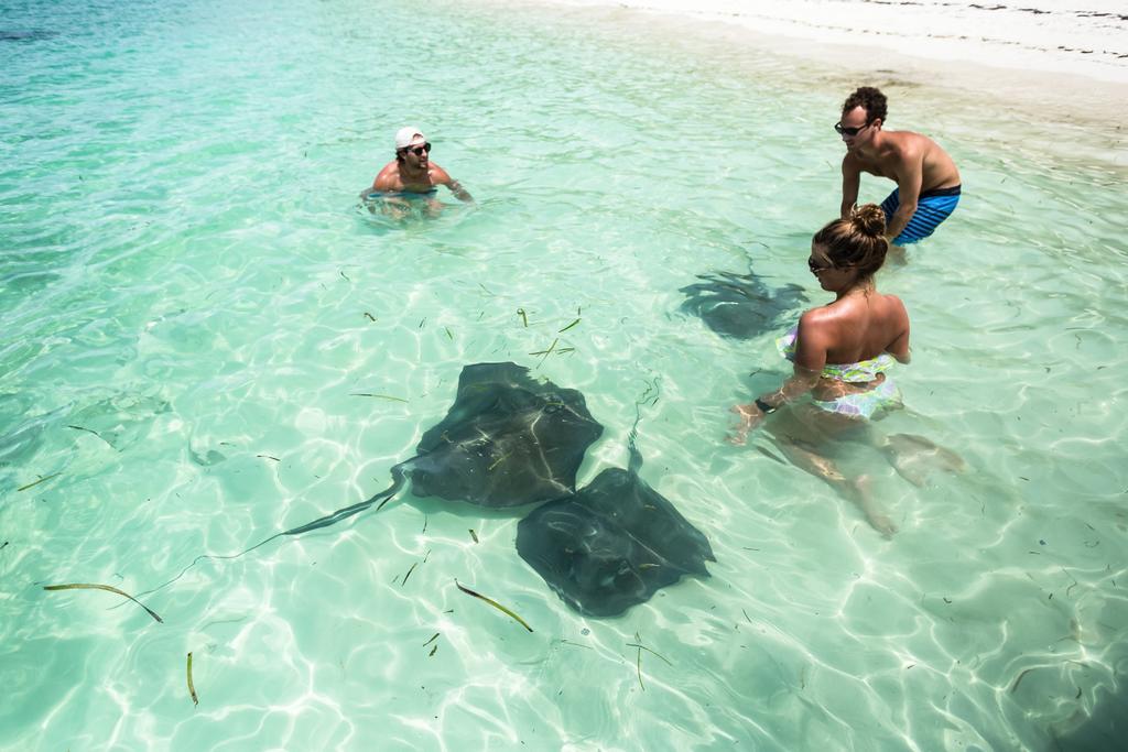 Turtle Club & Marina Resort Green Turtle Cay