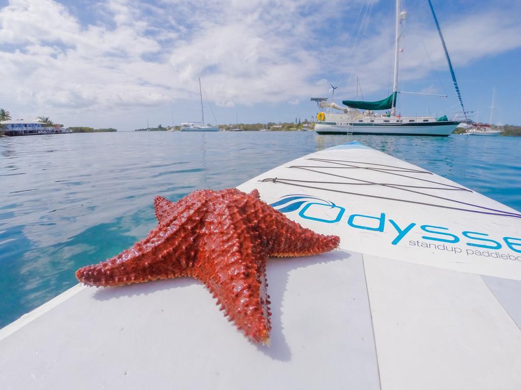 Resort Turtle Club & Marina