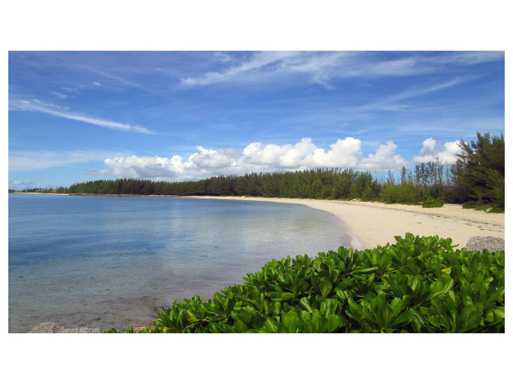 Silver Point *