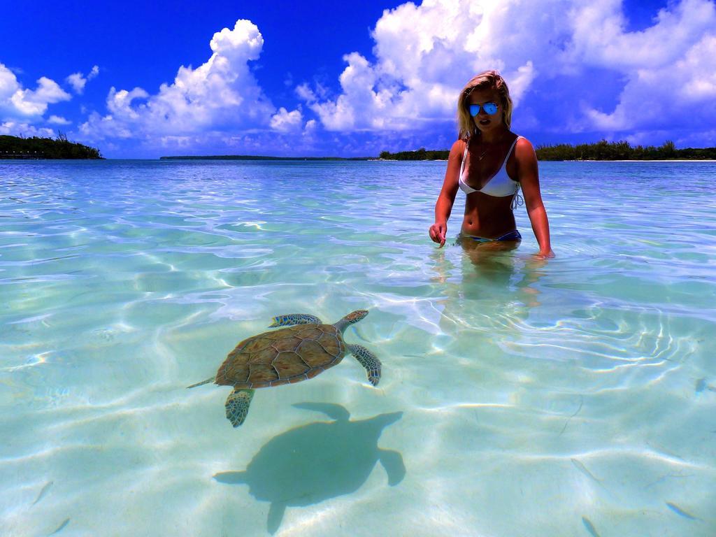 Bluff House & Marina Green Turtle Cay