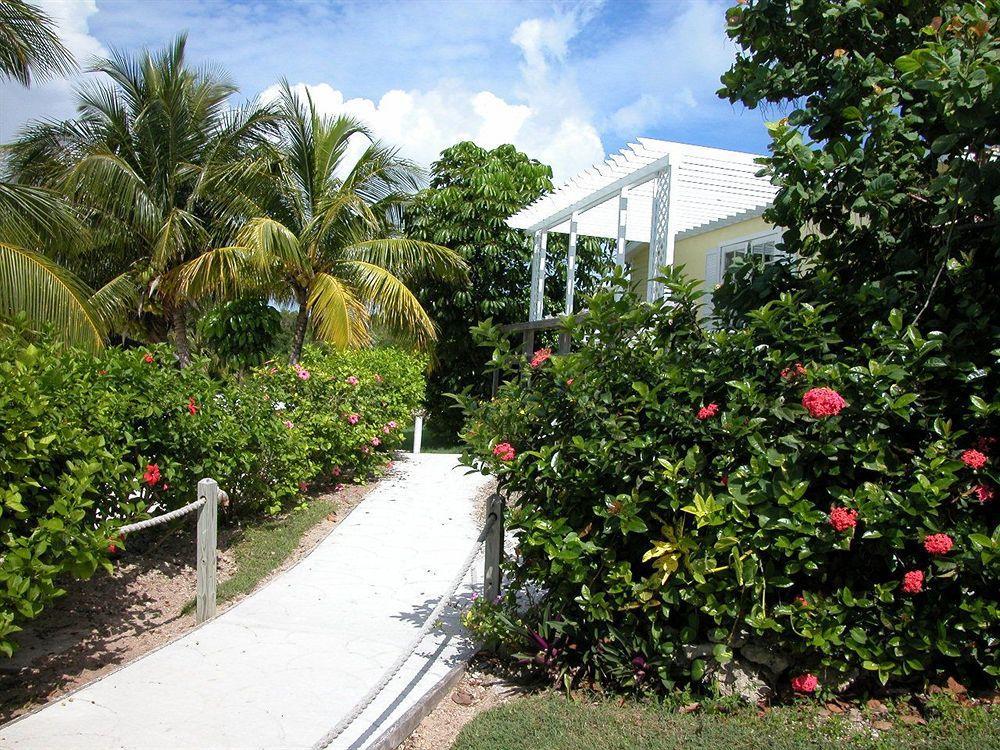 Turtle Club & Marina Green Turtle Cay