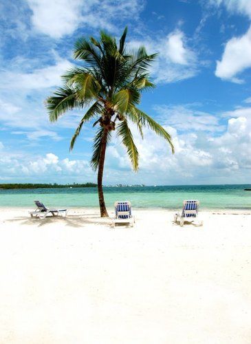 Resort Bluff House & Marina Green Turtle Cay