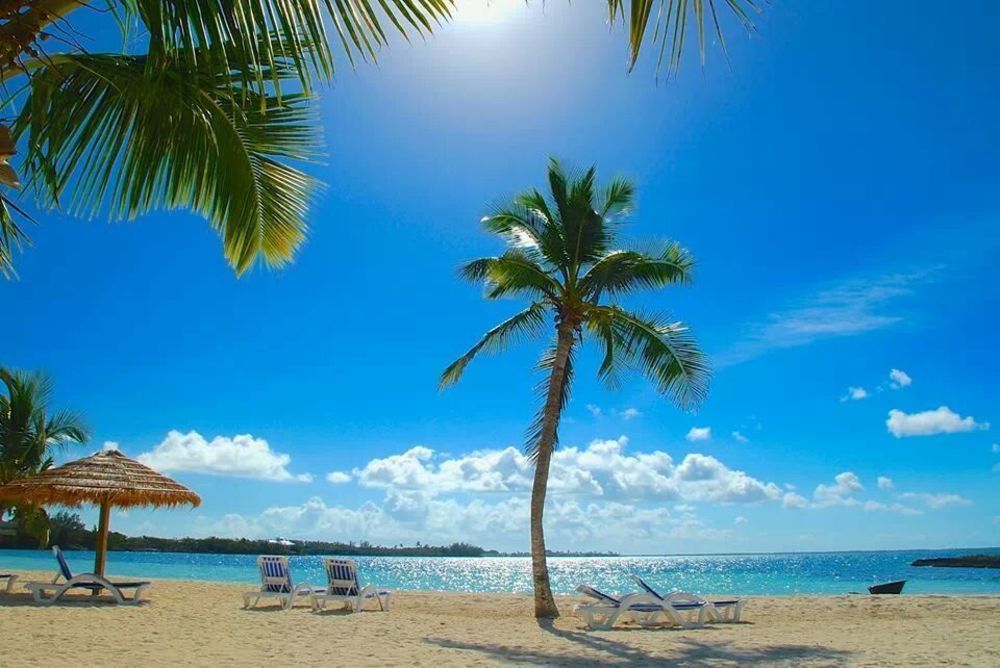 Resort Bluff House & Marina 3*