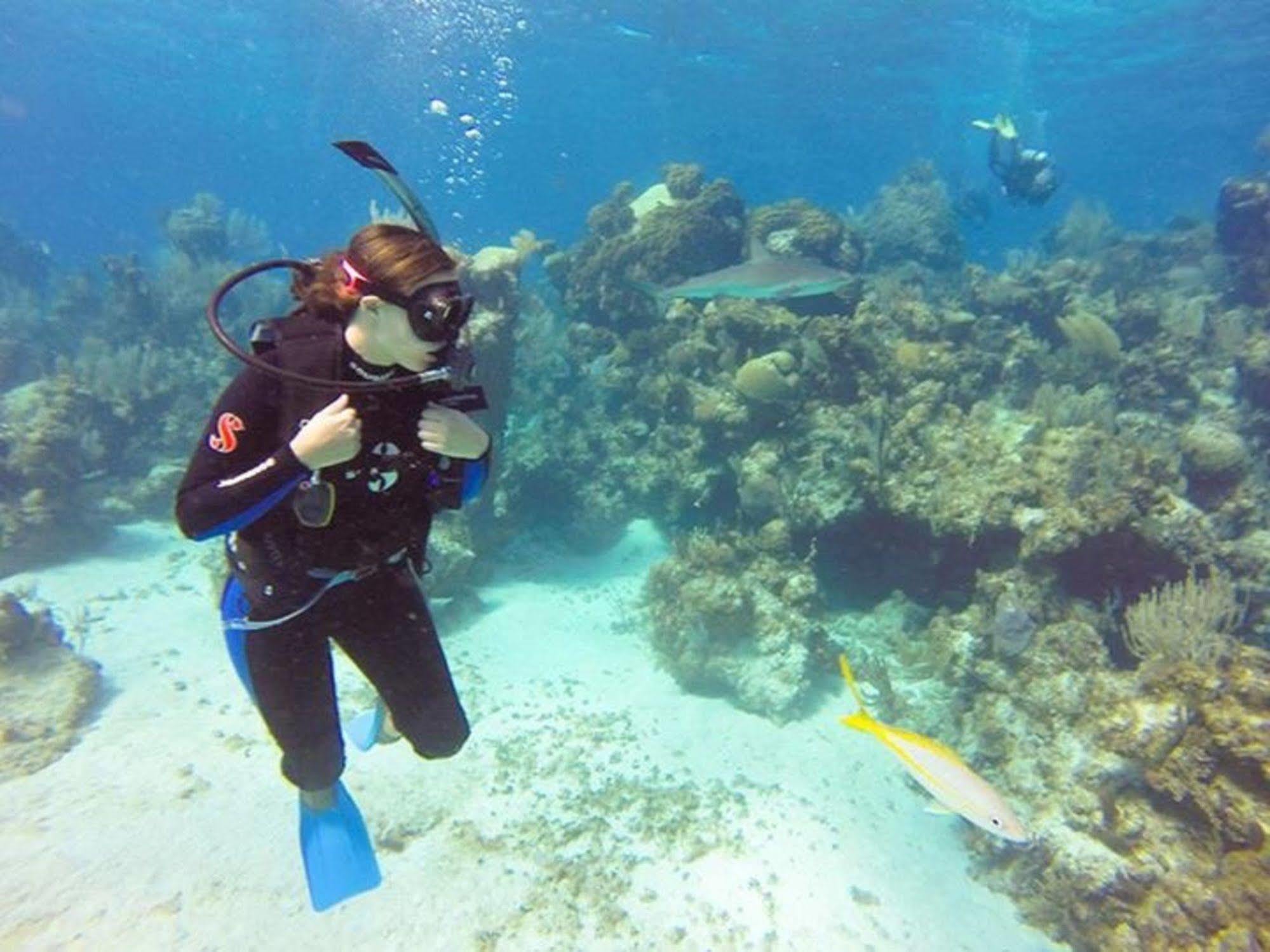 Turtle Club & Marina Resort