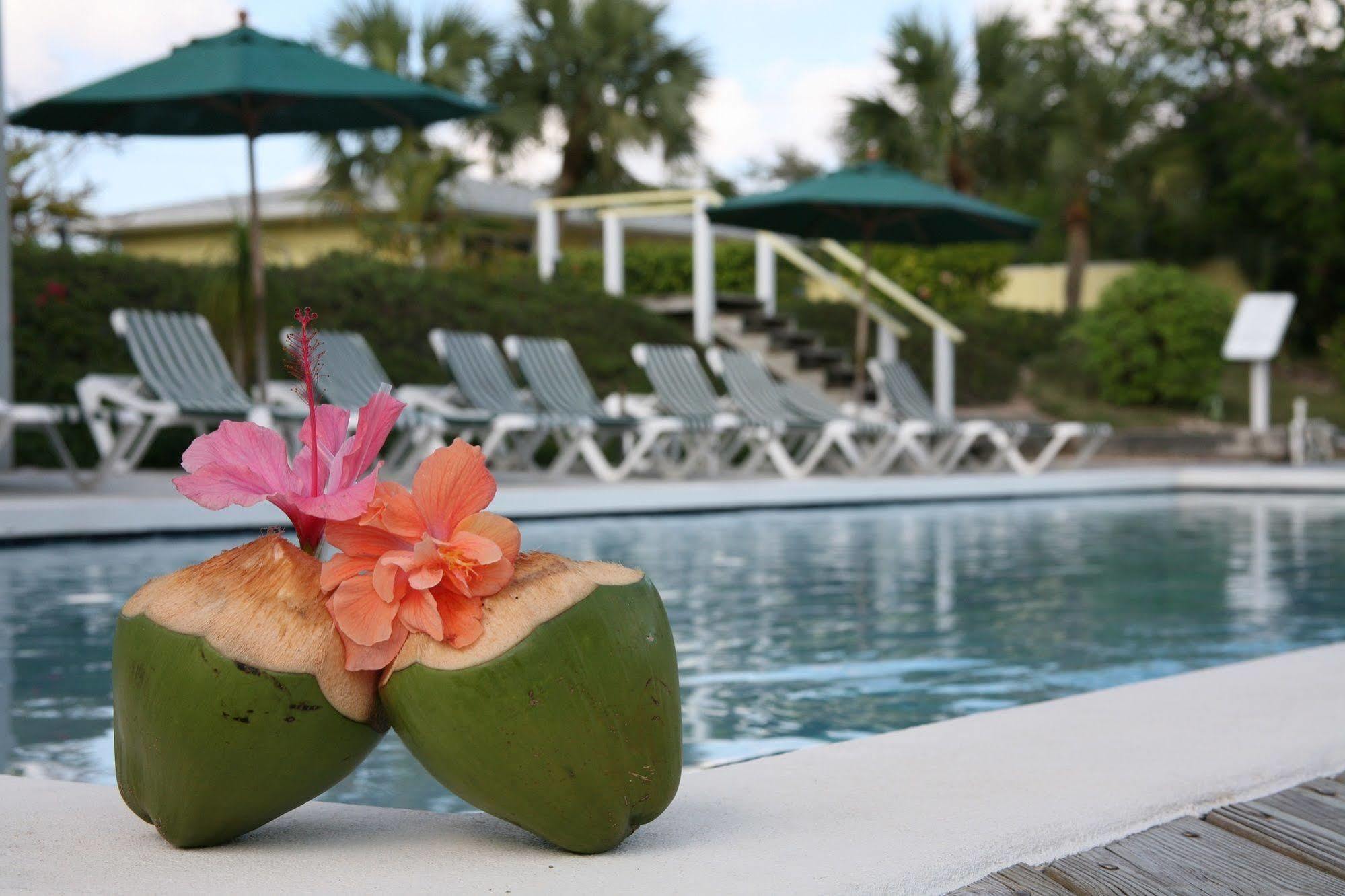 Resort Turtle Club & Marina 3*