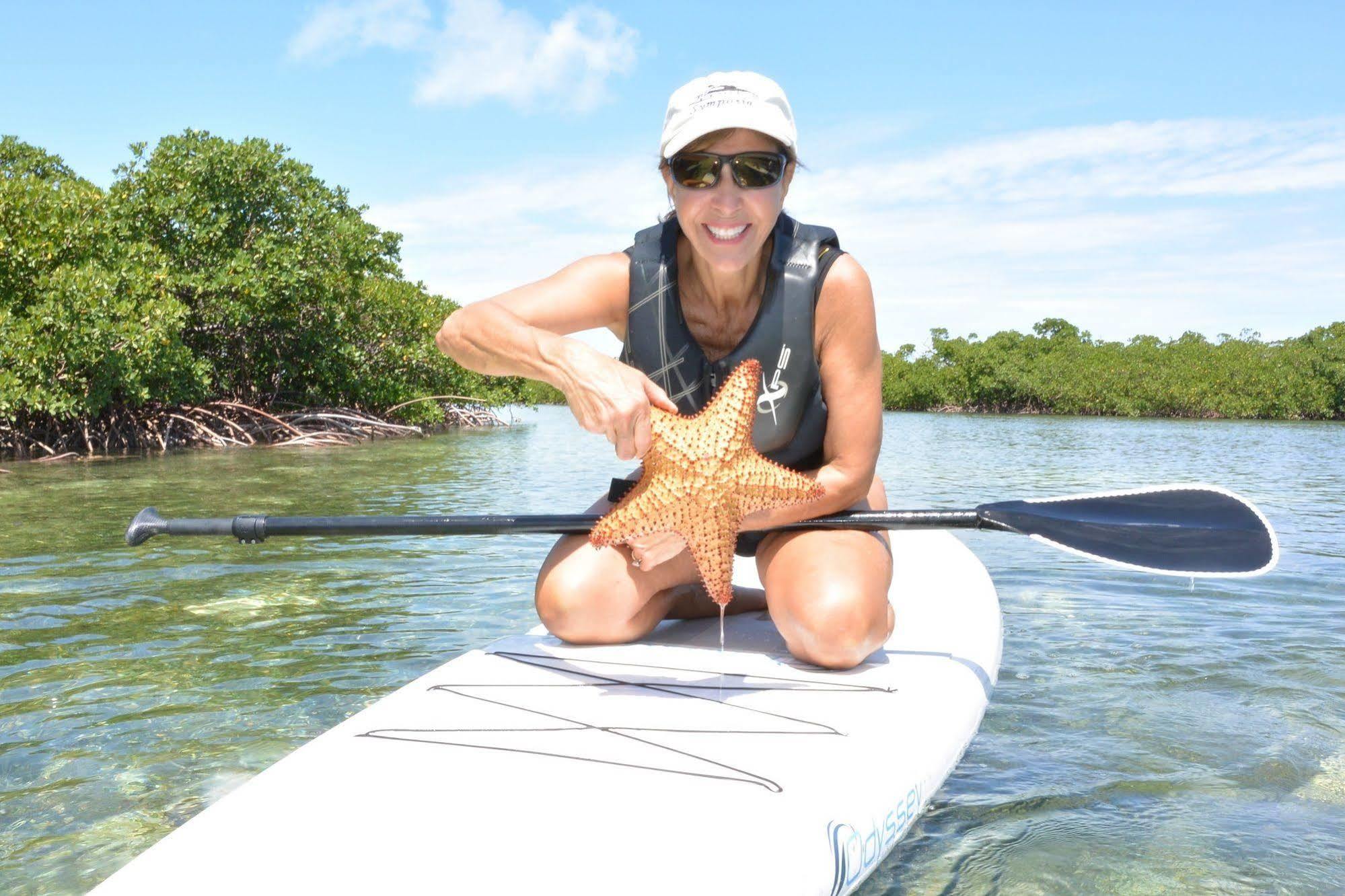 Resort Turtle Club & Marina Green Turtle Cay
