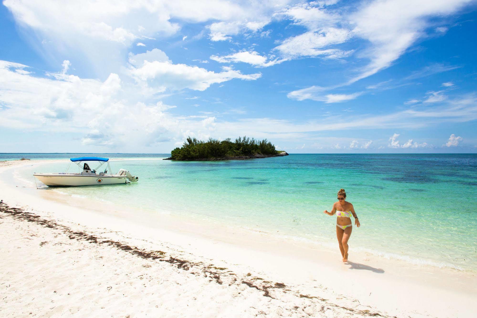 Turtle Club & Marina Green Turtle Cay