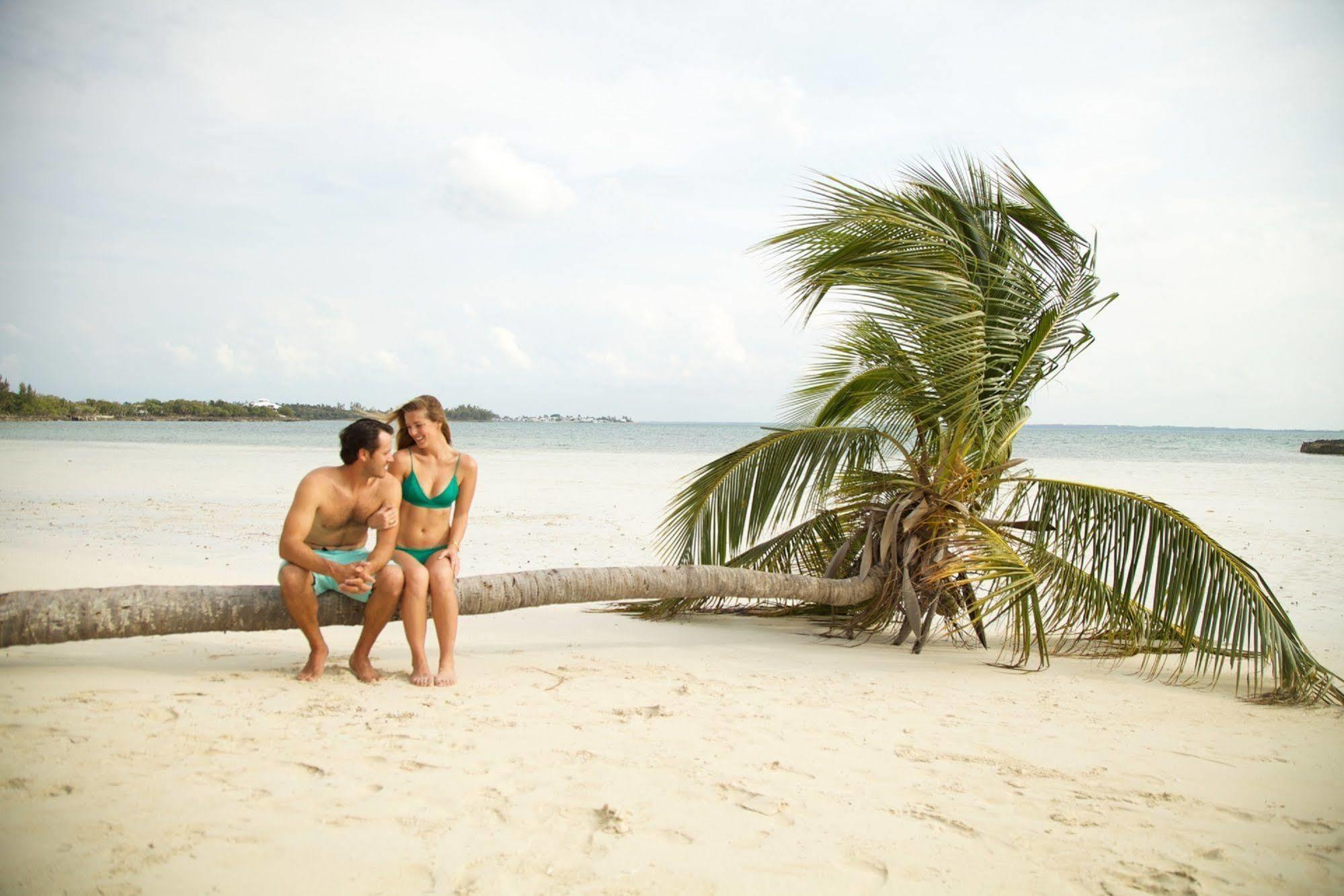 Turtle Club & Marina Resort Green Turtle Cay