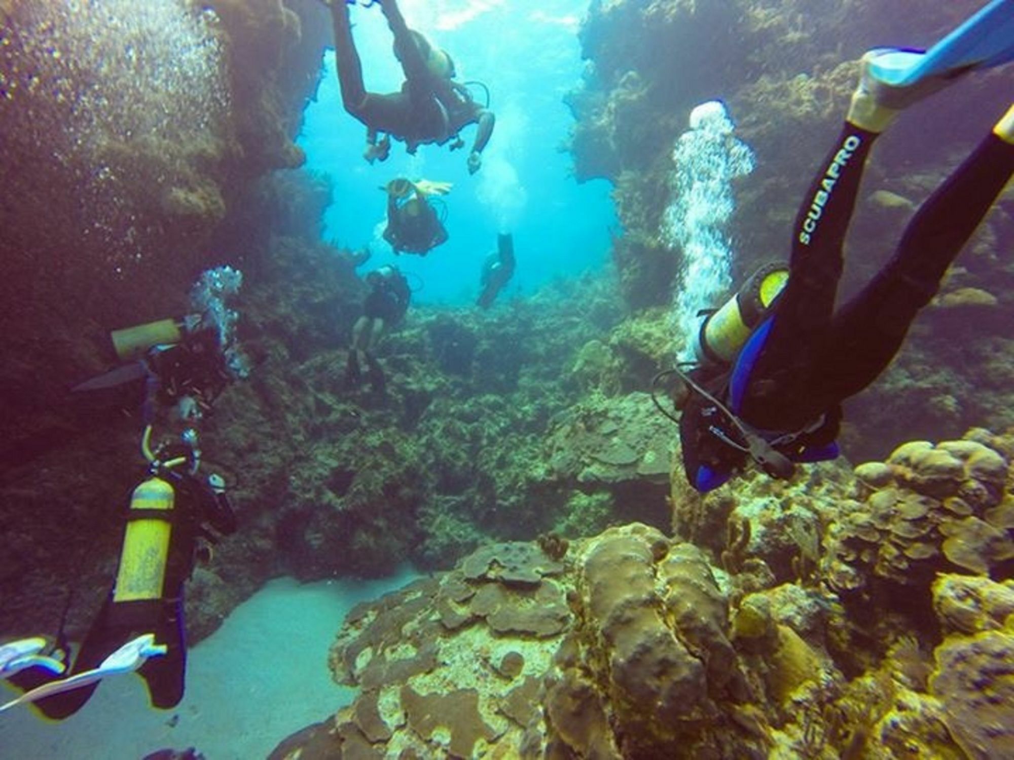 Turtle Club & Marina 3*