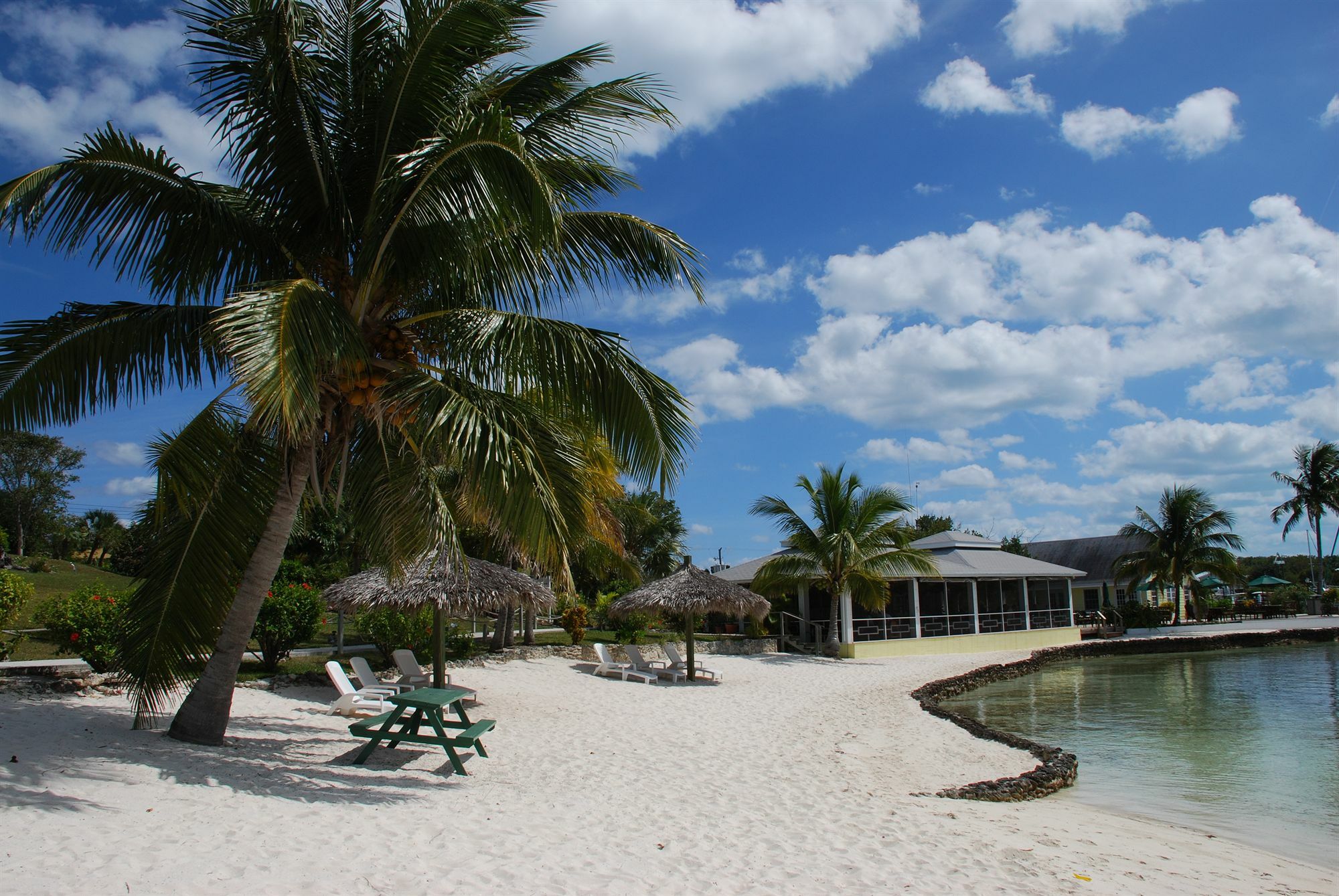 Turtle Club & Marina Resort Green Turtle Cay