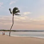 The Cove At Atlantis