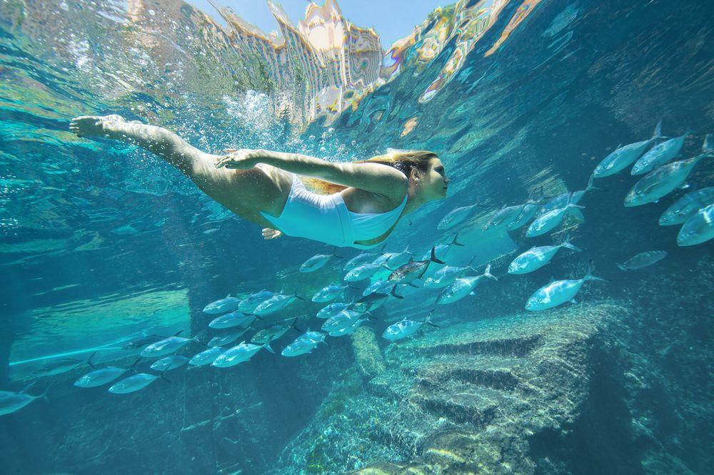 The At Atlantis