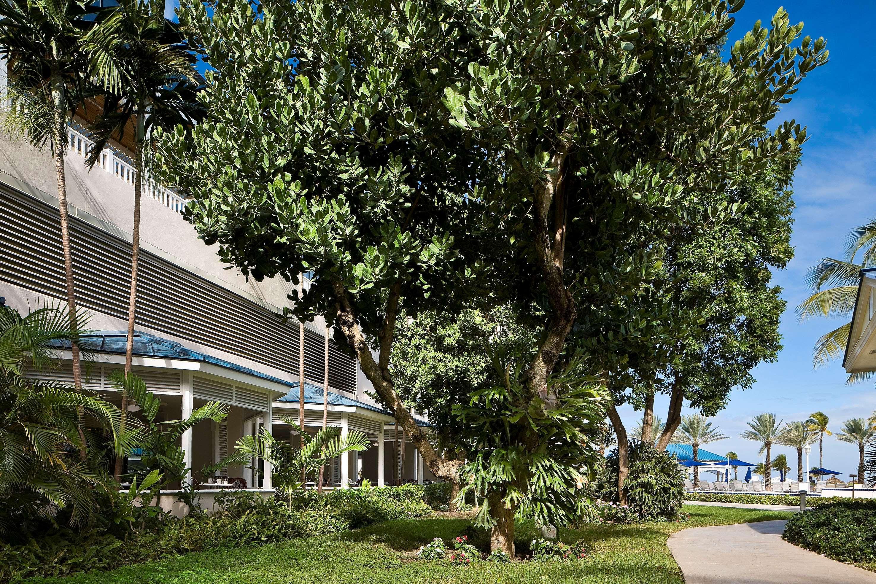 Melia Resort