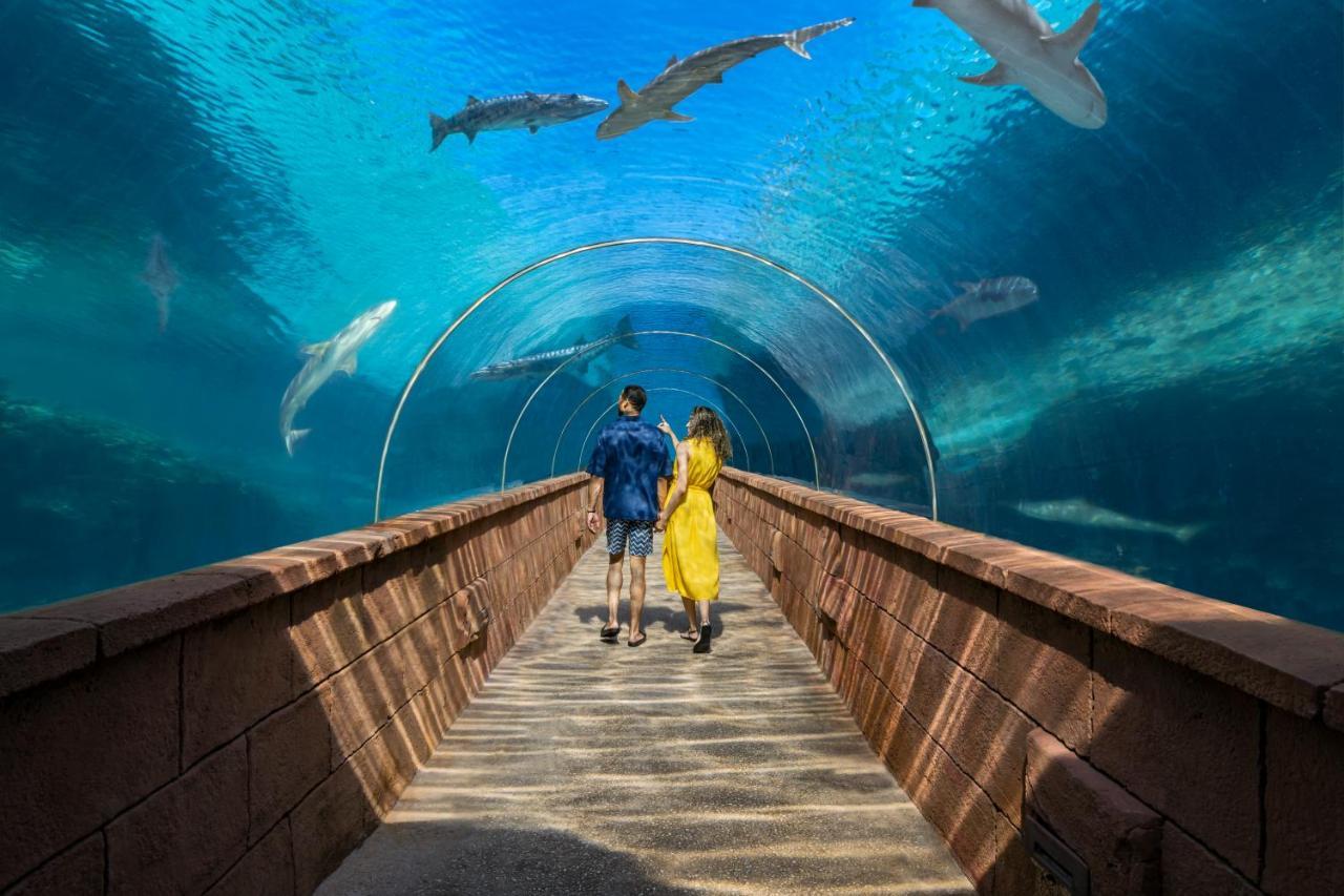 The Coral At Atlantis Nassau