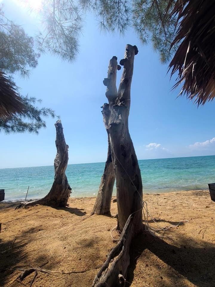 Hotel Beach Villas Coral Harbour