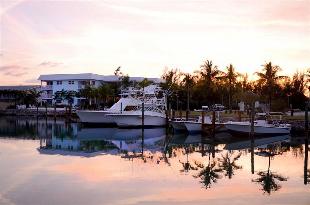Dolphin Cove (adults Only) Freeport