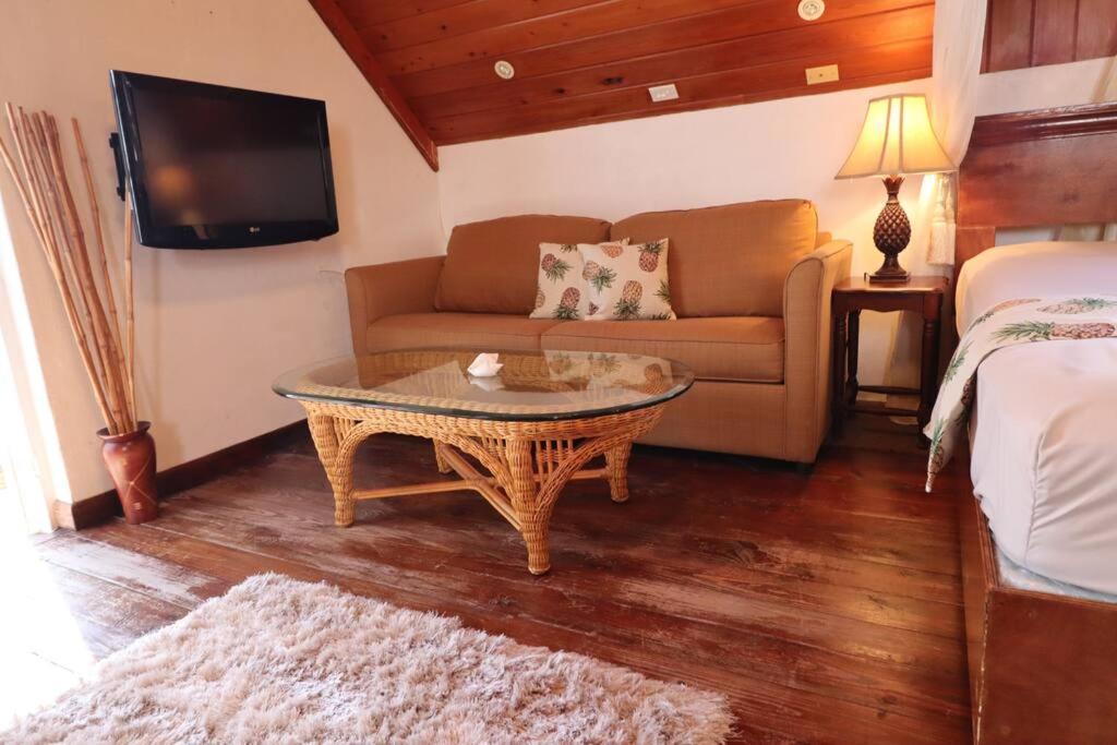 Suncrest House Cozy
