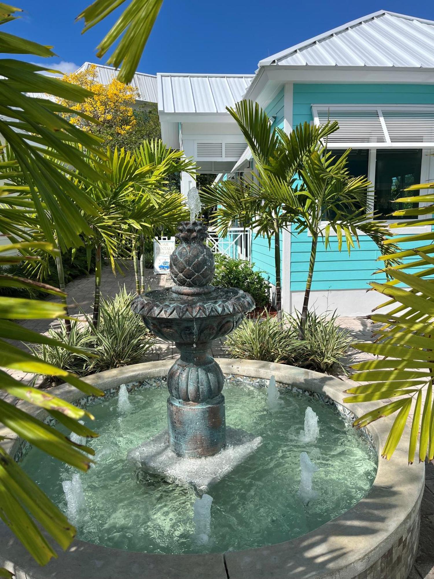 Villa Dolphin Cove (adults Only)