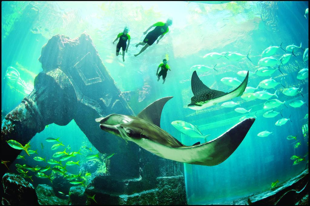 The At Atlantis Nassau