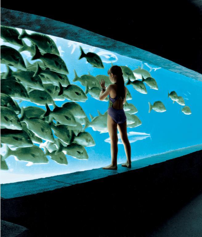 The At Atlantis 4*