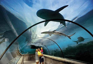 Atlantis Beach Tower Hotel 5*