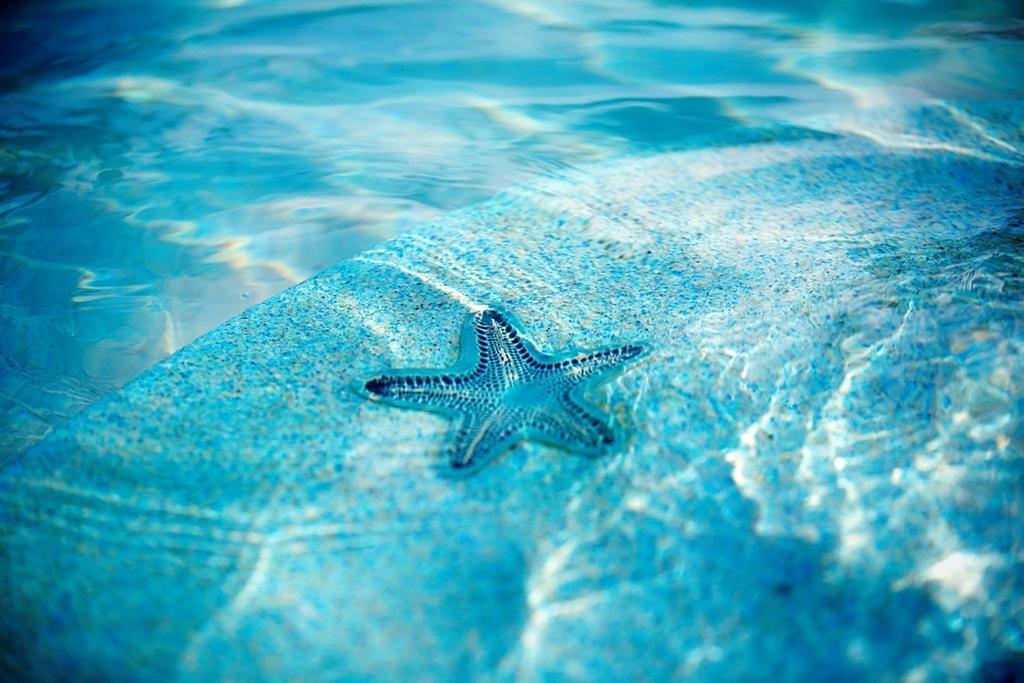 Warwick Paradise Island Bahamas (adults Only) Resort