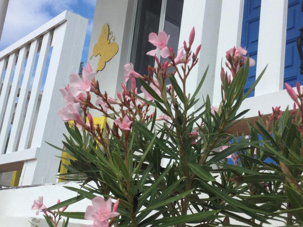 The Yellow Butterfly Apartment *
