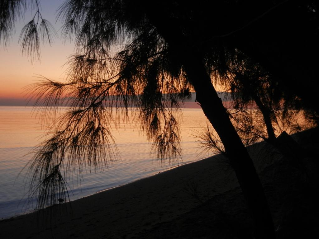 Hotel Beach Villas Coral Harbour
