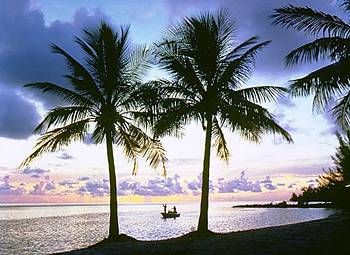 Old Bahama Bay & Yacht Harbour 4* West End