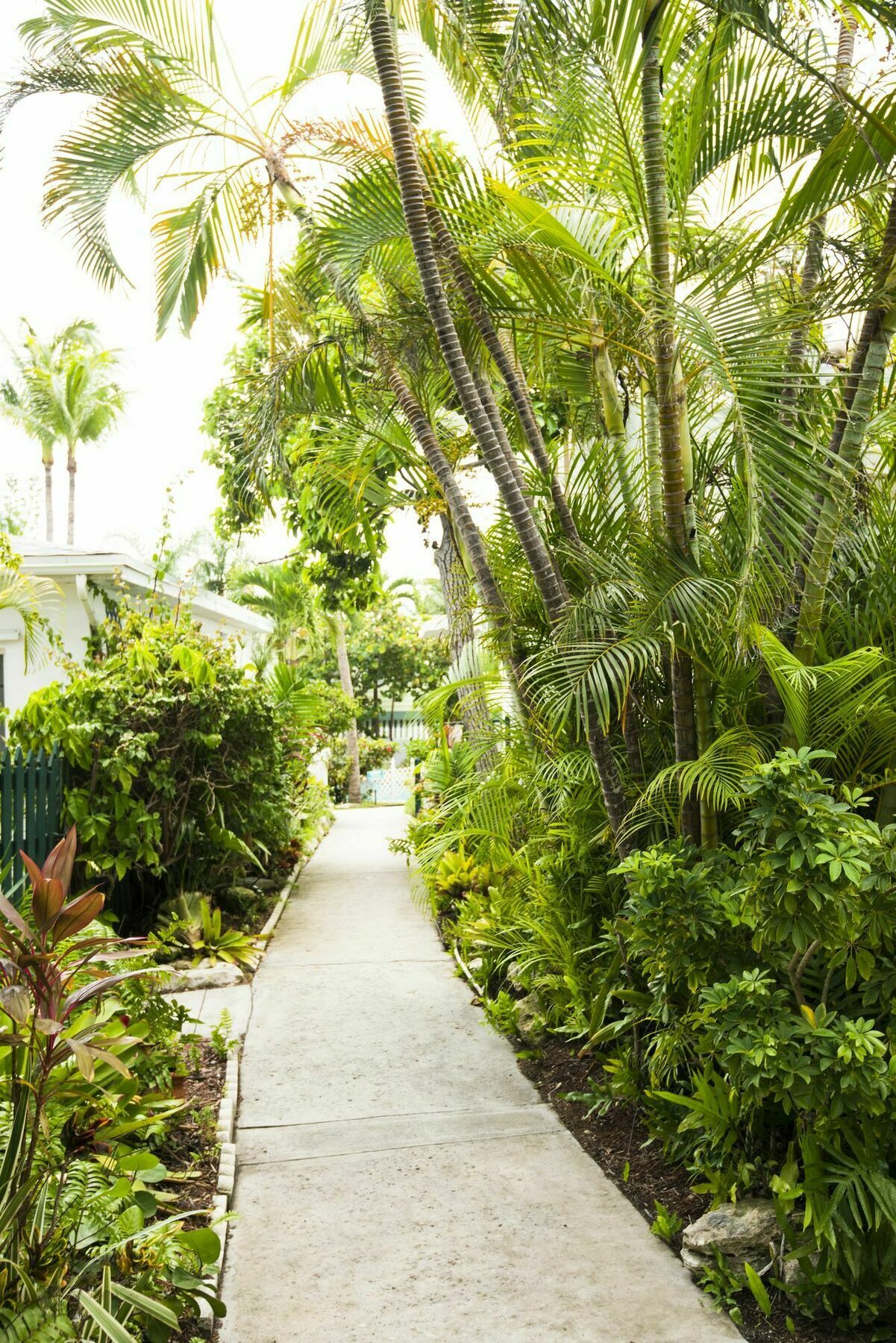 Bay View Paradise Island 3*