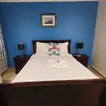 Golden Palms House