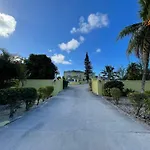 Golden Palms House