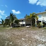 Scena\'S Place
