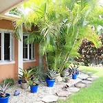 Coconut Palms Hideaway