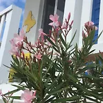 The Yellow Butterfly
