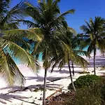 Seven Palms