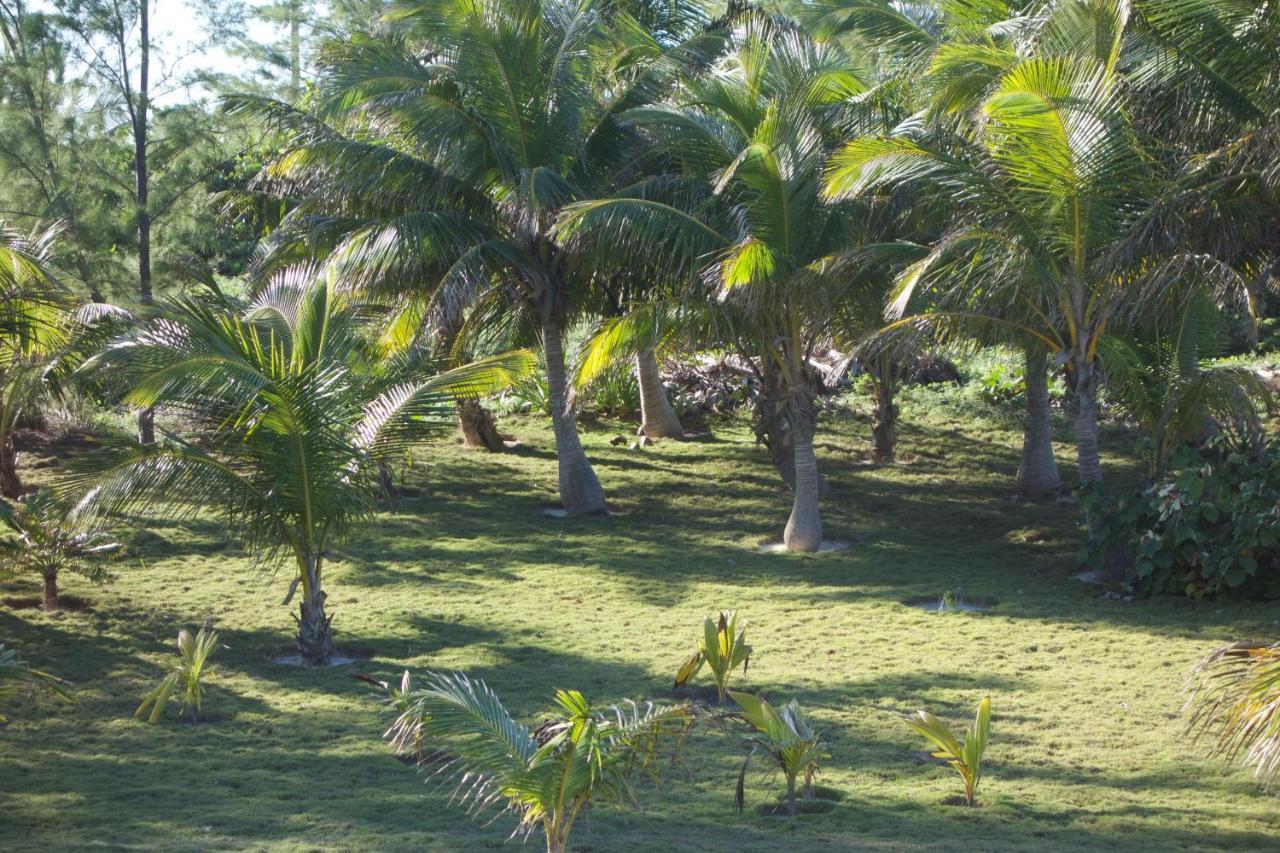 Atlantic Sunrise By Eleuthera Vacation Villa Governor's Harbour