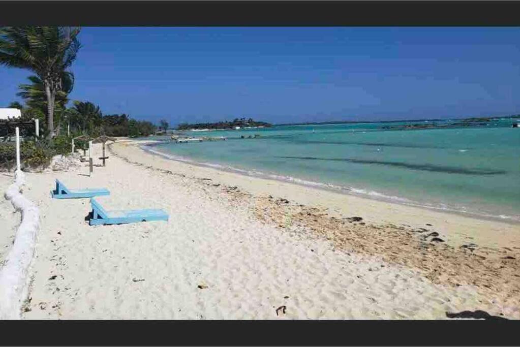Beautiful Just Steps Away From The Beach! Apartment *
