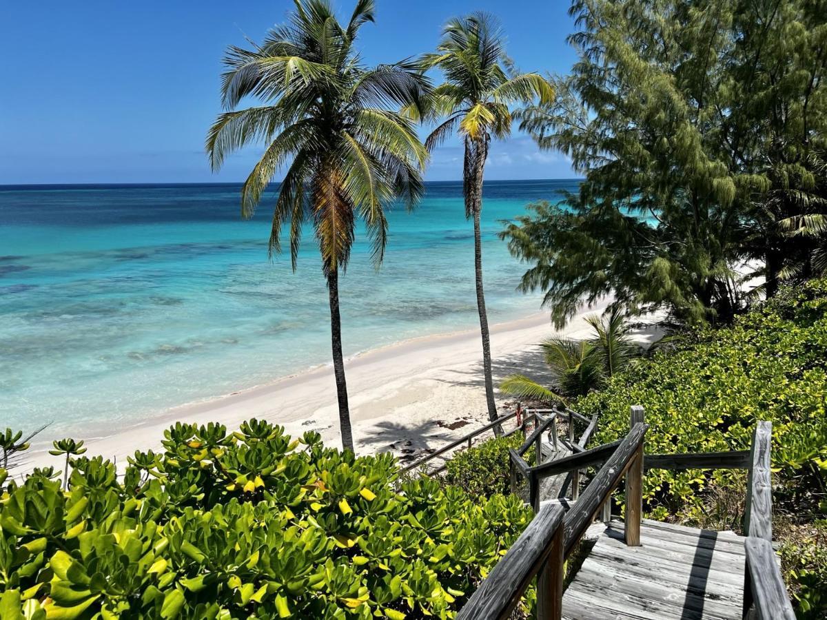 Trident Palmetto Point