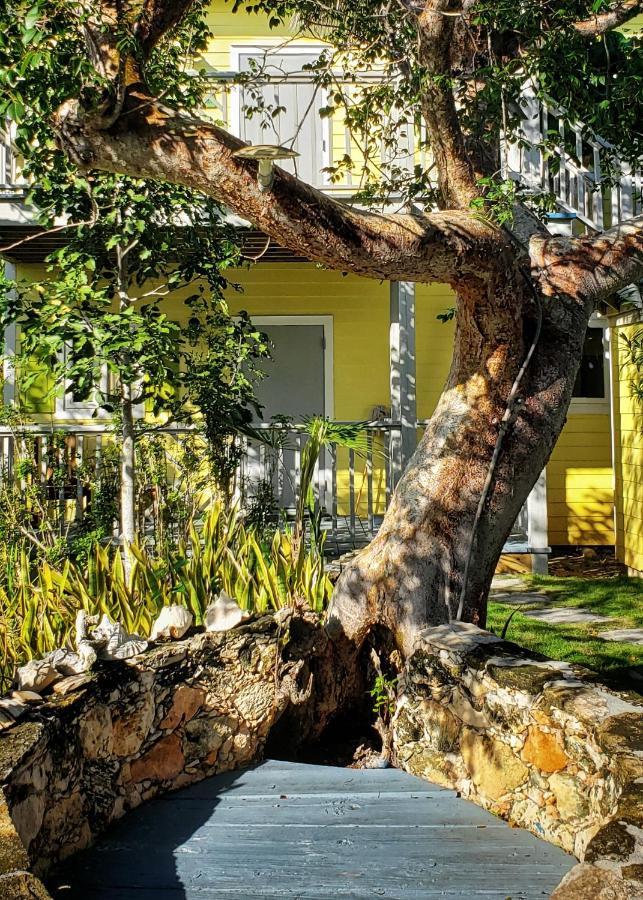 Aparthotel Pineapple Fields