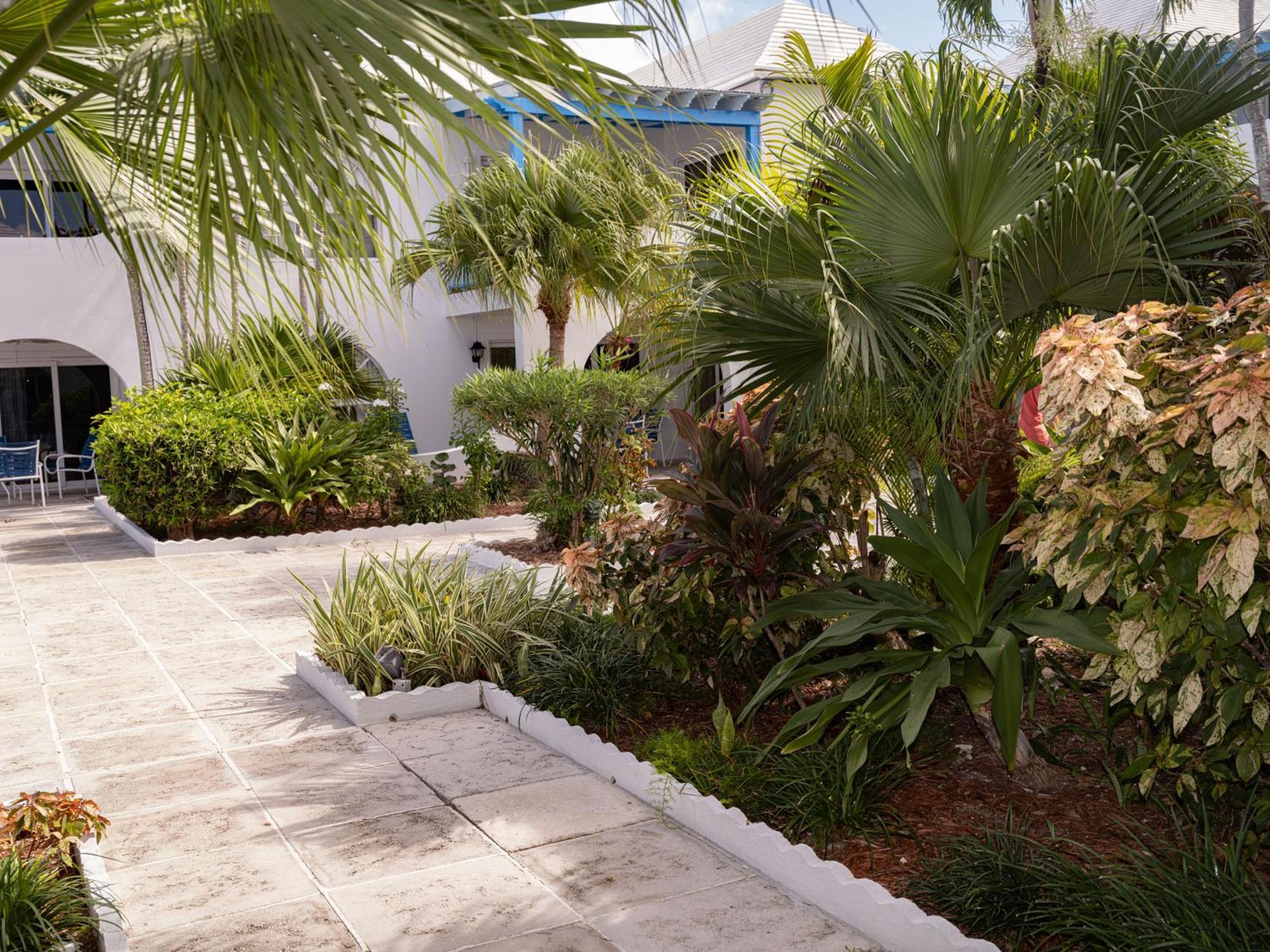 Villa Deluxe Ocean View - Just Steps From White Beaches *