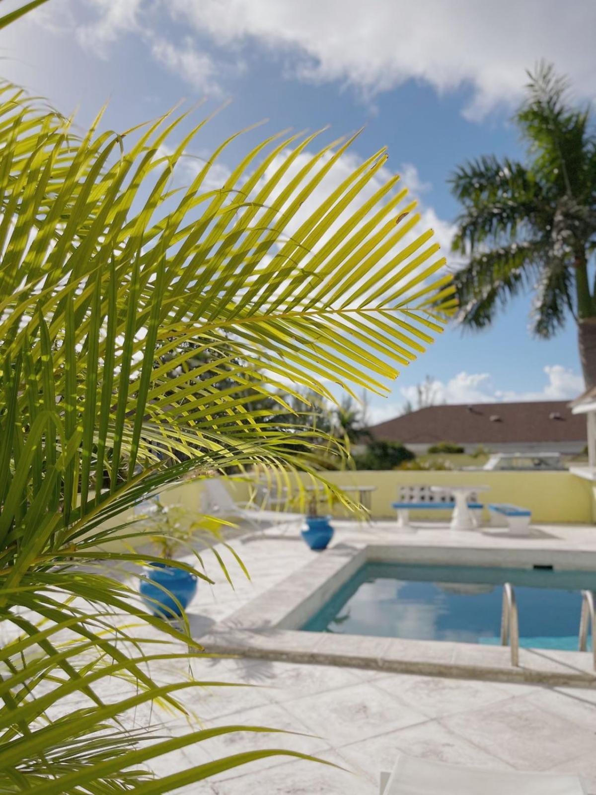 Bed & Breakfast Golden Palms House 3*