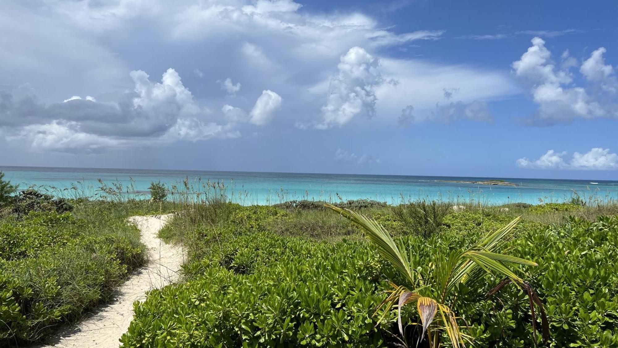 French Leave South Beach Bight Ii *