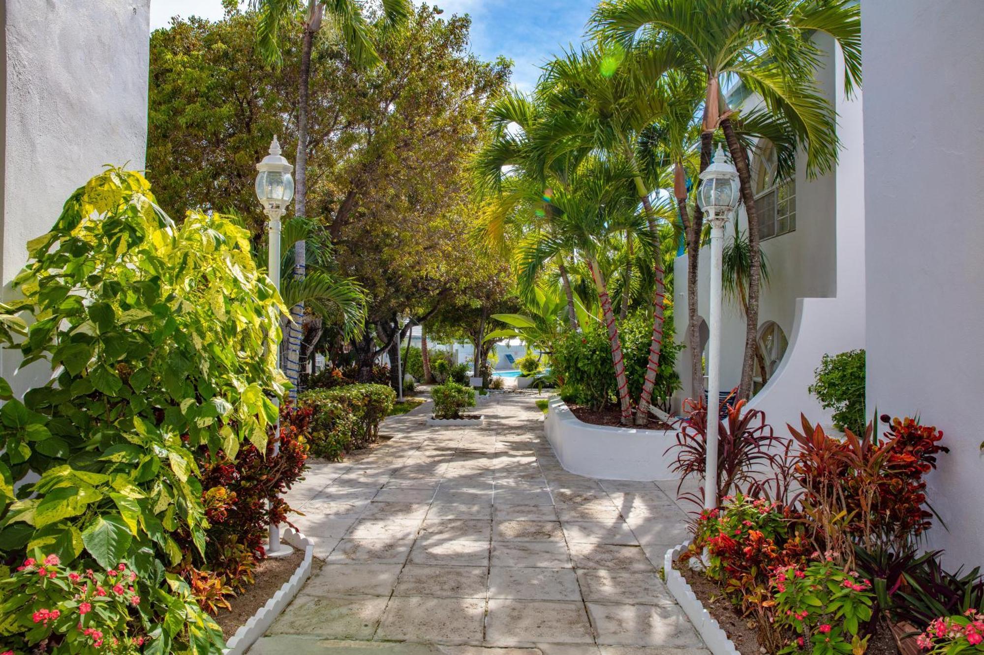 Deluxe Ocean View - Just Steps From White Beaches Villa Creek Village