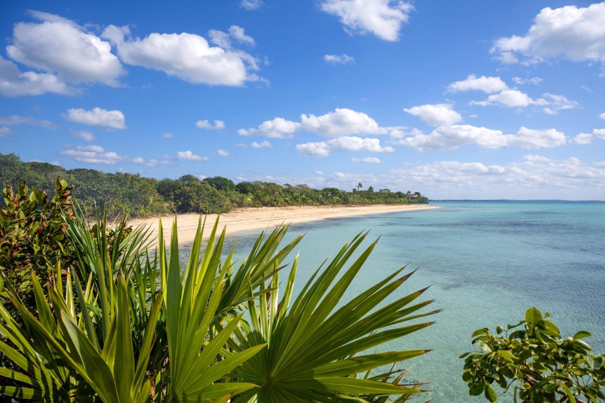 Holiday home Pau Pau Estate Palmetto Point