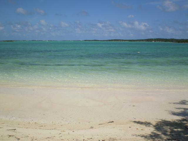 Cut * George Town