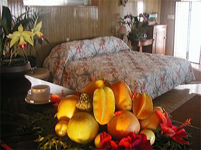 Hotel The Duck 3*